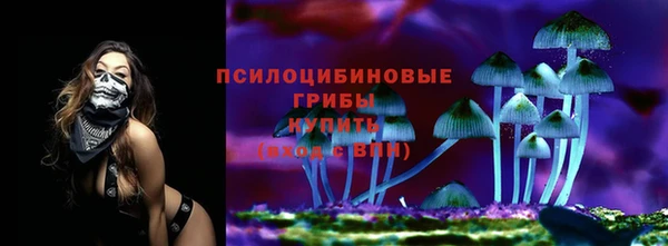гашик Балахна