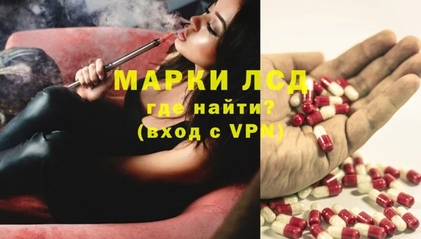 гашик Балахна