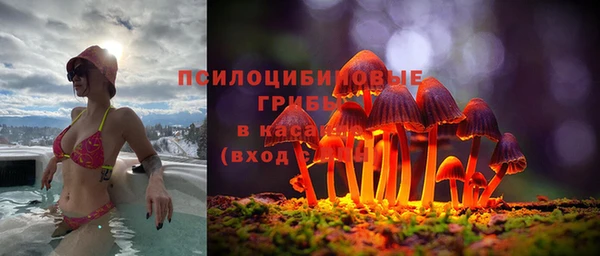 гашик Балахна